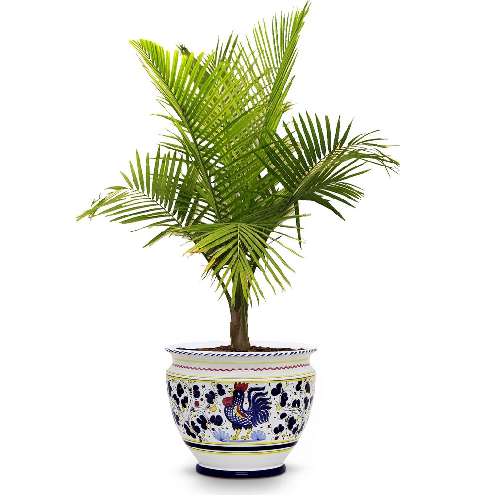 ORVIETO GREEN ROOSTER: Luxury Cachepot Planter Large - Artistica.com