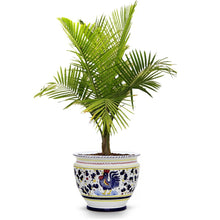 ORVIETO BLUE ROOSTER: Luxury Cachepot Planter Large - DERUTA OF ITALY